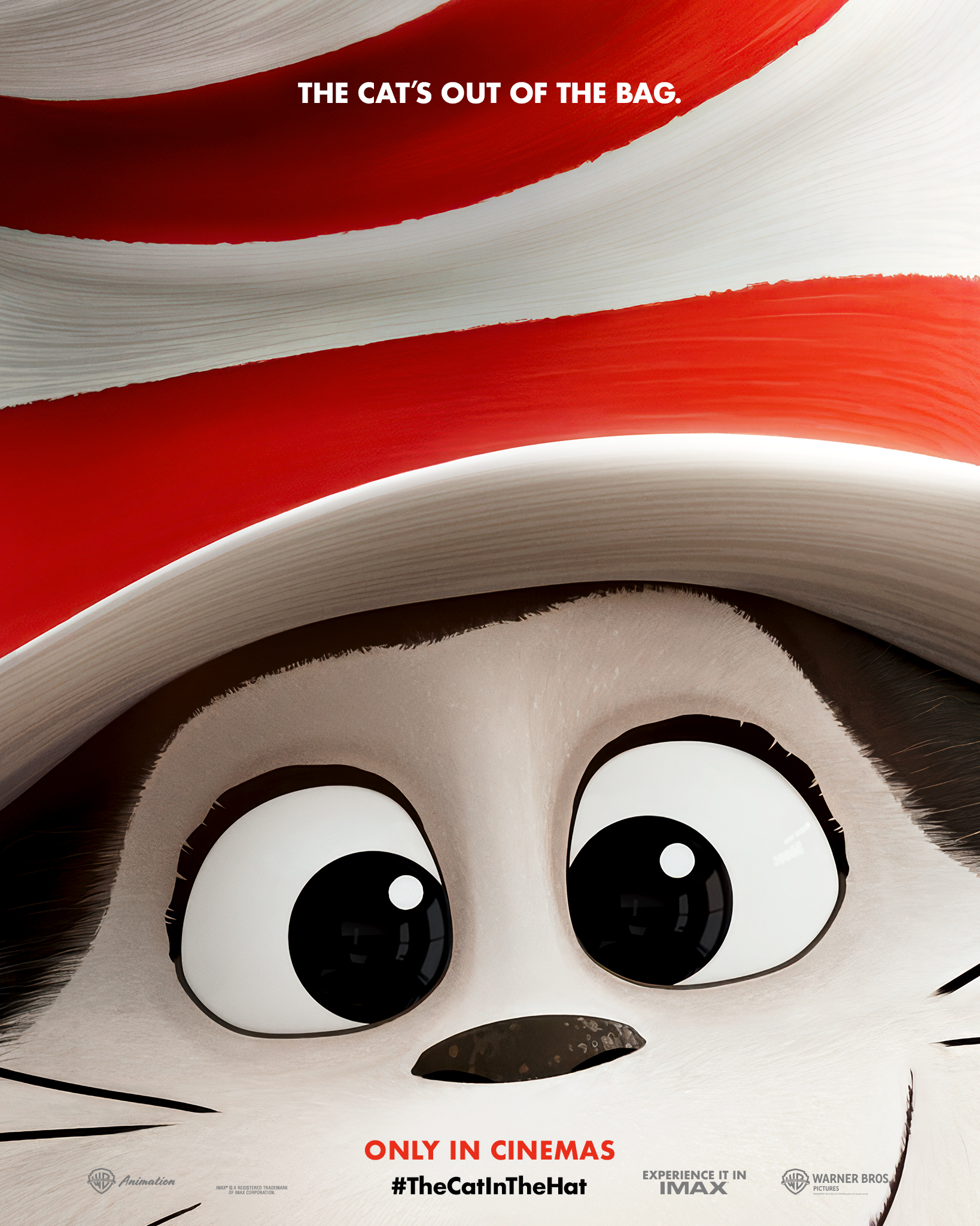 The Cat IN The Hat poster